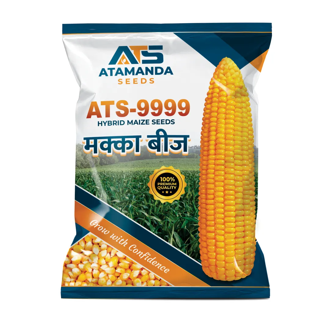 ATS-9999 Hybrid Maize Seeds