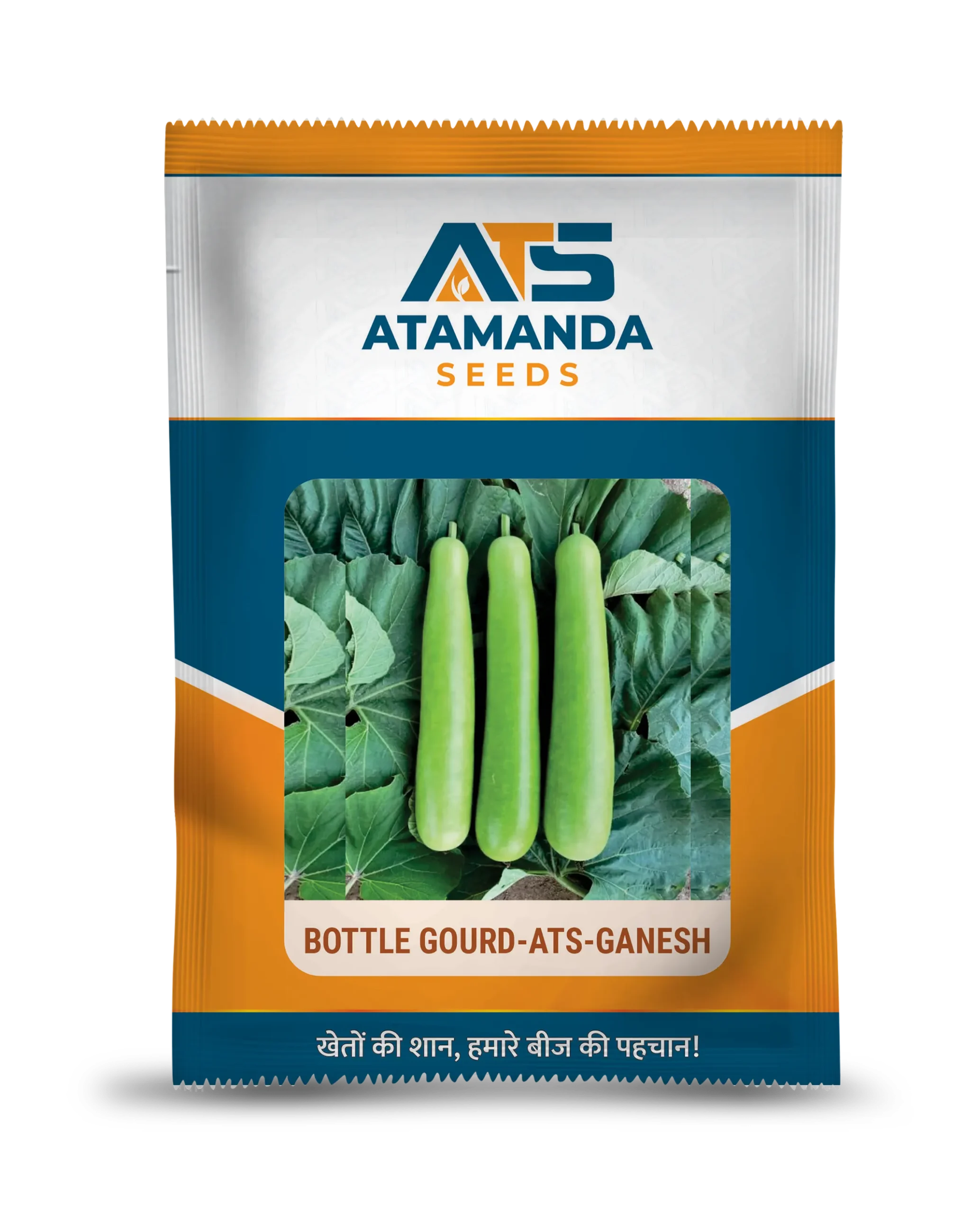 Bottle Gourd-ATS-Ganesh