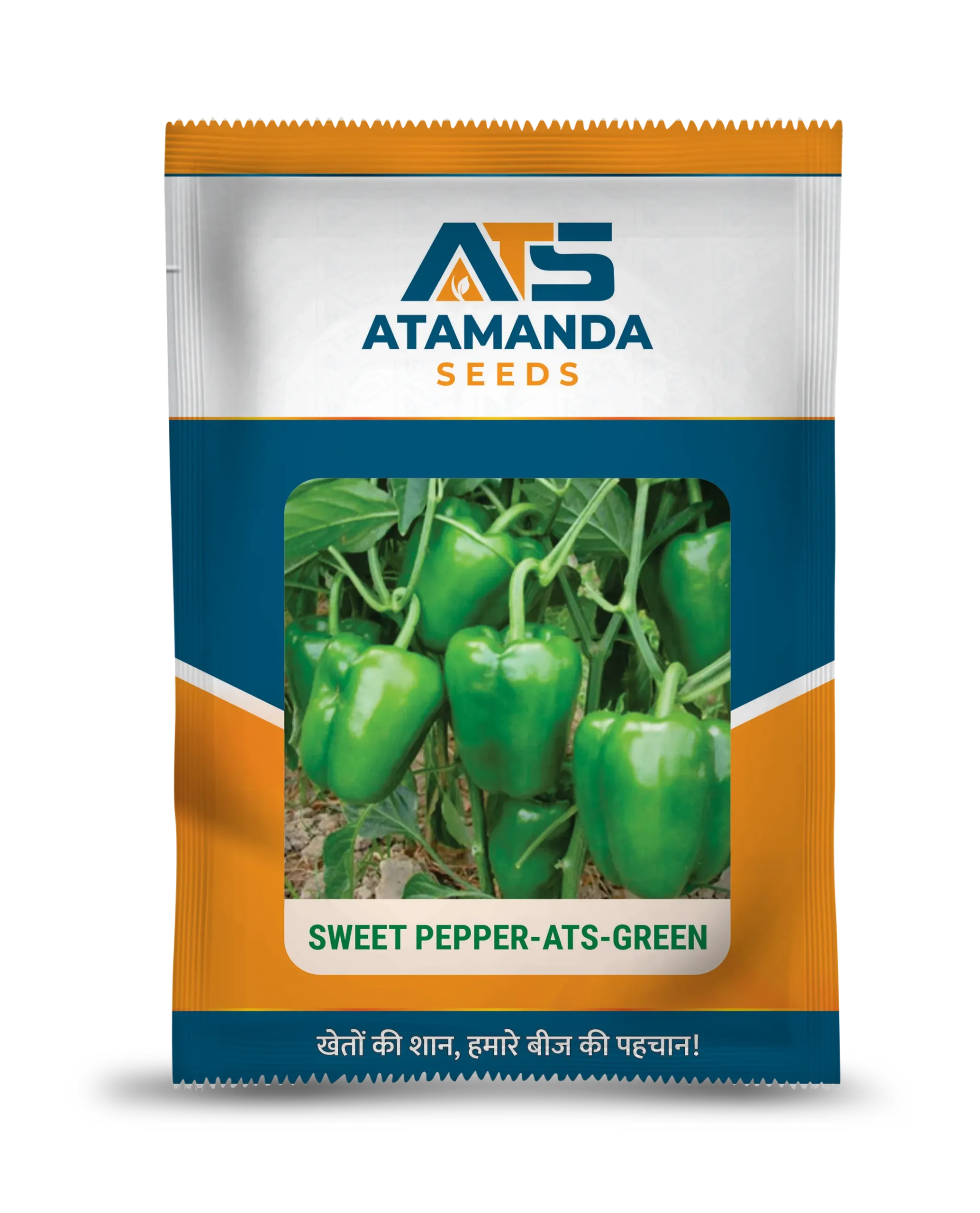 Sweet Pepper-ATS-Green