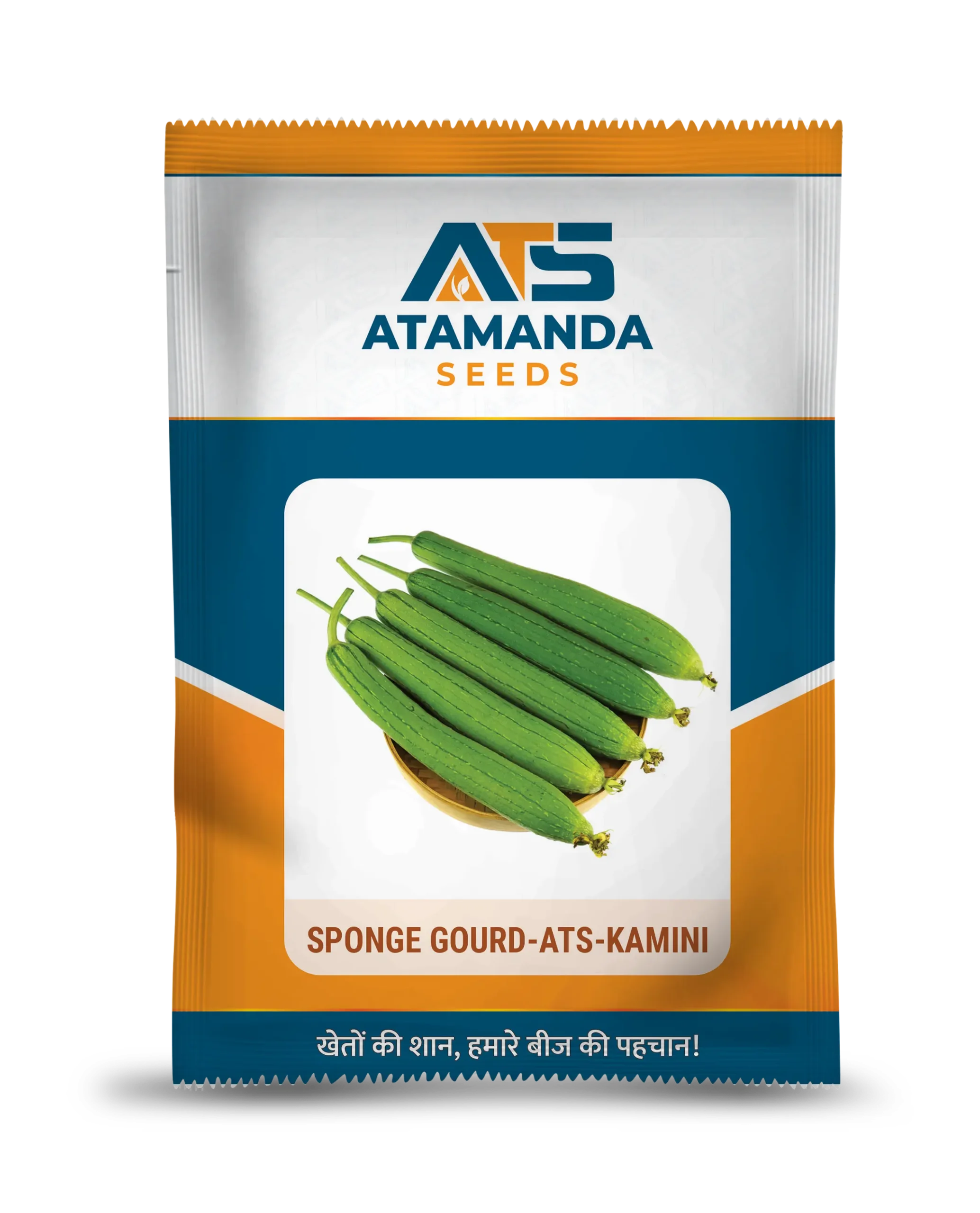 Sponge Gourd-ATS-Kamini