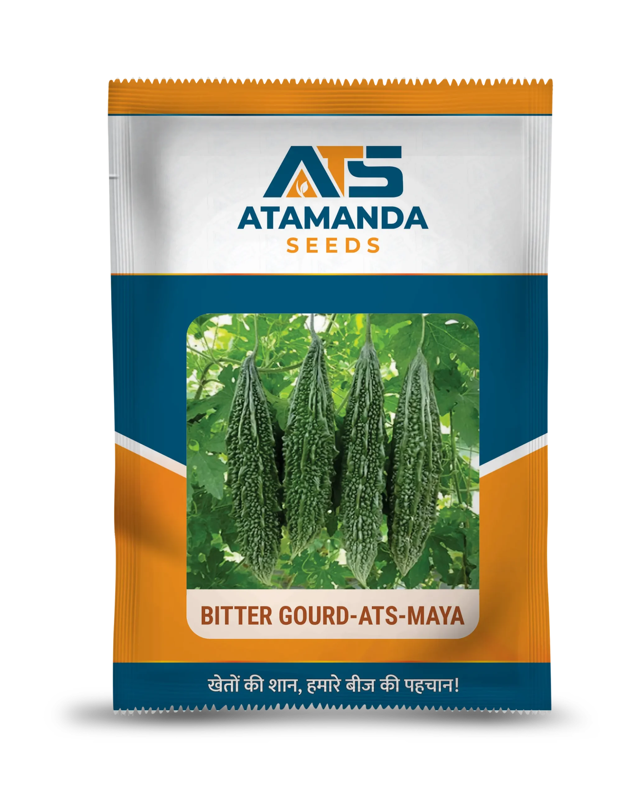 Bitter Gourd-ATS-Maya