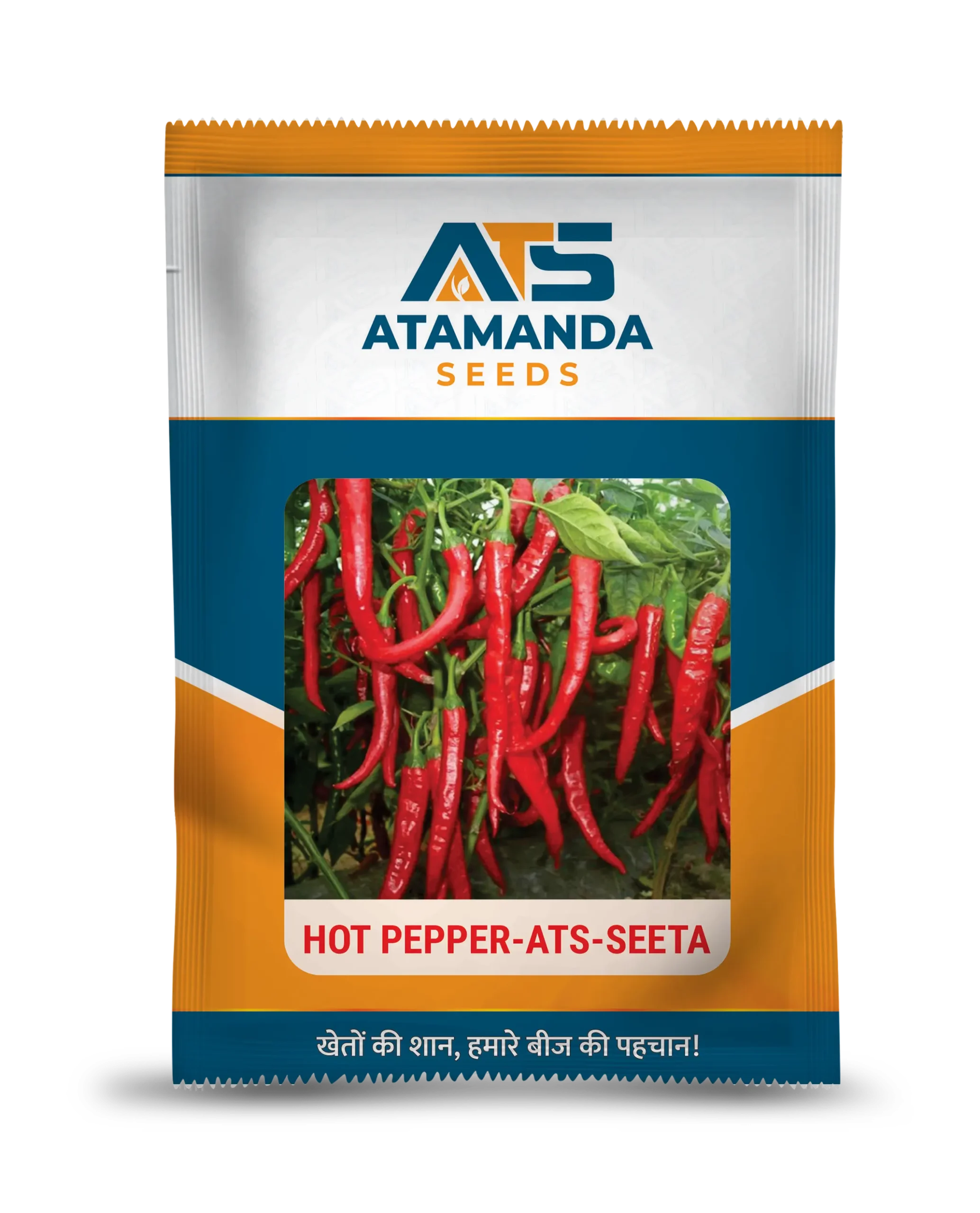 Hot Pepper - ATS-Seeta